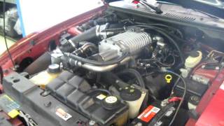 2004 Mustang Gt Supercharged By Tork Tech Built By Mustang Specialties
