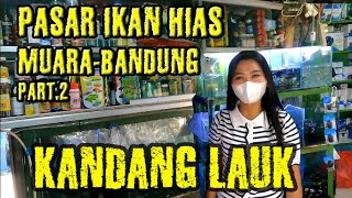 PASAR IKAN HIAS MUARA TEGALEGA BANDUNG # JUNI 2021 PART.2