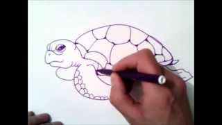 видео Как нарисовать Черепаху