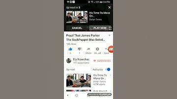 Proof That The Agnes SockPuppet Account Did Not Get Terminated.
