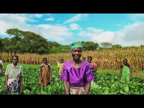 How Meridian Group Is Changing Farmers' Lives In Malawi - video from CROPNUTS