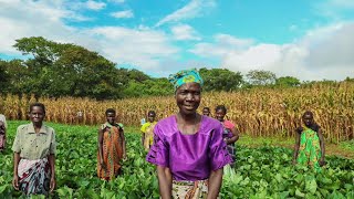 How Meridian Group Is Changing Farmers' Lives In Malawi