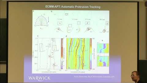 Till Bretschneider | How the Geometry of the Cell Boundary Couples Cellular Blebbing and Actin ...