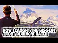 I Caught the Biggest Trout During a Hatch...Here&#39;s How.