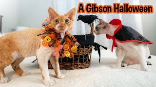 A Very Gibson Halloween | Original Halloween Music