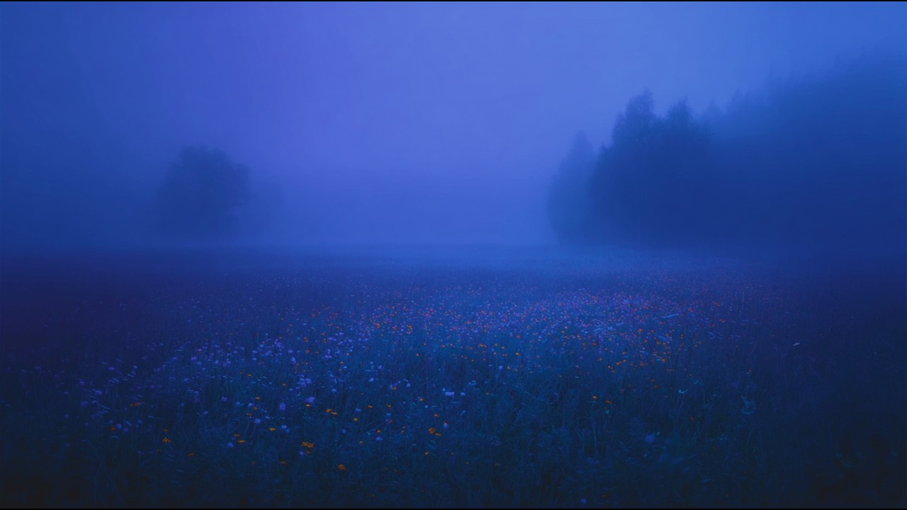 leave your thoughts here.