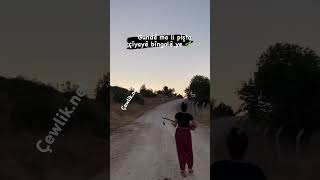 🎶Gundê Me Li Pişta Çiyayê Bîngolê Ye 🎙️Eylül Nazlıer