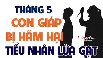 Tháng 5 Năm 2019 Con Giáp Đề Phòng Tiểu Nhân Hãm Hại Lừa Gạt Hết Tiền - Tử vi 12 con giáp