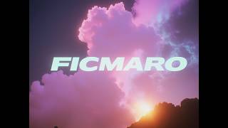 FICMARO - LONGEVITY PULSE - TIDAL REFLECTIONS