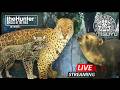 Hunting NEW SPECIES in INTISUYU in Early Access! - LIVE