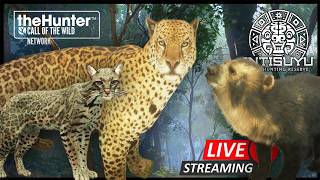 Hunting NEW SPECIES in INTISUYU in Early Access! - LIVE