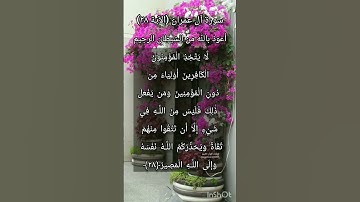 سورة آل عمران الآية ٢٨