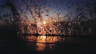 Feel Something - Bea Miller (Music Video) 26.04.2020 (water5°C)