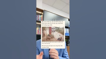 Đẩy CSGT vào xe tải, nguy hiểm cho xã hội! #luatsuquangsang