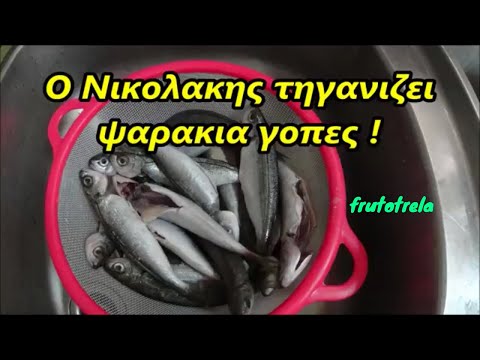 Βίντεο: Πώς να μαγειρέψετε μικρά ψάρια