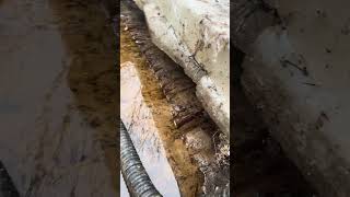 #digging #shortsyoutube #ww2 #german dugout #немецкий блиндаж