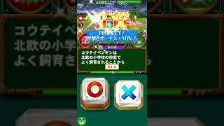クイズマジックアカデミー ロストファンタリウム Part167 3章 ステージ1 中級