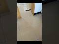 DIY PAPER HELICOPTER EVEN EASY TUTORIAL #trending #viral #shorts