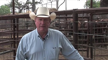 Ron Gill - BQA - Introduction to withdrawal periods