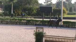 Famous ESP Fall 3 2012 -ASPCA MACLAY Wealth