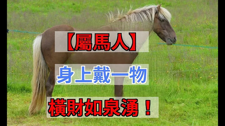 【屬馬終身吉祥物】屬馬人身上戴一物，運勢一路走高，財運擋不住，橫財如泉湧！|易學智慧 - 天天要聞