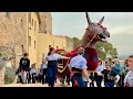 Plantada de bestiari  pi de puigpelat   festa mdedu de la llet  camerman oriol  episodi n 1