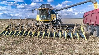 🇫🇷 XL Maize Harvest 2018 | [Unique] Olimac 16 Rangs + CR 9080