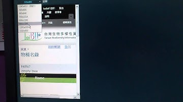Media Query Testing in Firefox