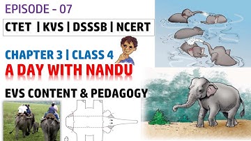EP- 7 | A Day With Nandu | EVS Content and Pedagogy for Class 4 Chapter 3 | CTET KVS DSSSB