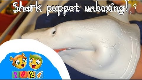 Shark puppet unboxing! #shark #funnyvideo #unboxing #2024video