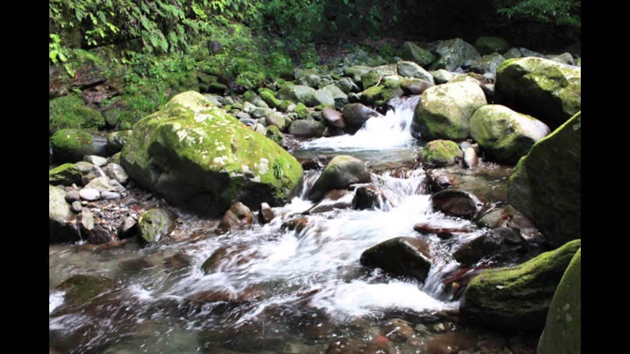 名水百選轟峡・遊歩道（銀鈴渓ルート）を『苔生す石・渓流のせせらぎ』と『森林浴』を楽しみながら散策した YouTube