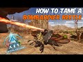 How To Tame a Bombardier Beetle in ARK Survival Ascended