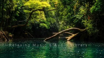 Soothing Music | Relaxing Music | Copyright Free Music.