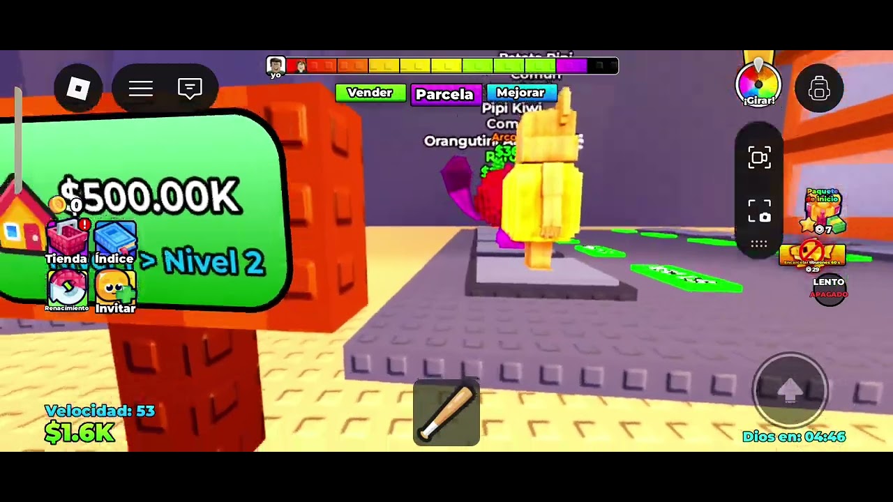 ١٣ فبراير ٢٠٢٦