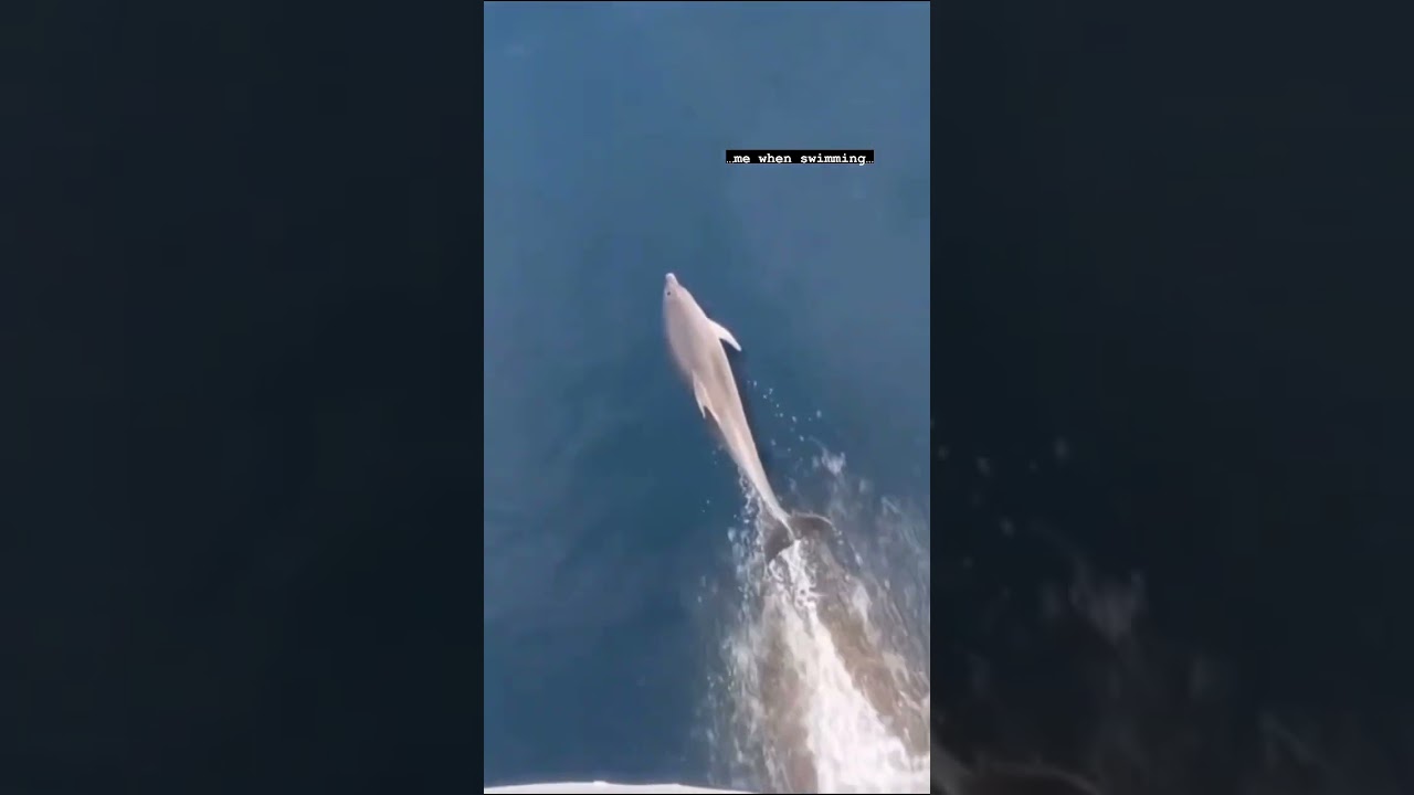 How it feels when swimming 