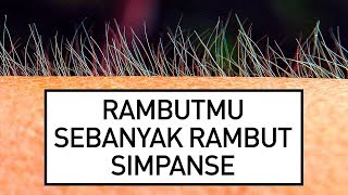 14 Fakta Tubuh Menakjubkan Tapi Jarang Diketahui