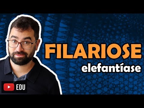 Filariose (Elefantíase) - Aula 16 - Módulo VI: Zoologia | Prof. Guilherme