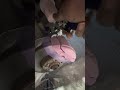Getting my daughters right pink calipers on Audi a5