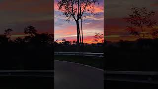 ASMR Senja after rain #senja #rain #sore #hujan #asmr