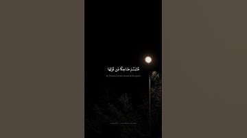 فَتَبَسَّمَ ضَاحِكًا مِّن قَوْلِهَا | محمد صدیق المنشاوي | سورة النمل {۱۹}