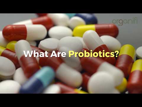 What Is The Relationship Between Your GUT And Probiotics? - What Is The Relationship Between Your GUT And Probiotics?