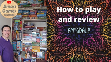 How to setup play and review Amygdala abstract strategy board game AmassGames Kramer Kiesling brain
