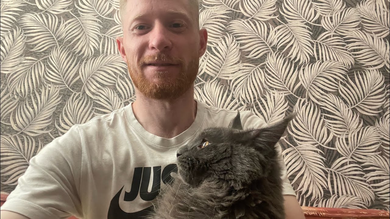 На что уходят ваши донаты на доброе дело коту балуше!!! - YouTube