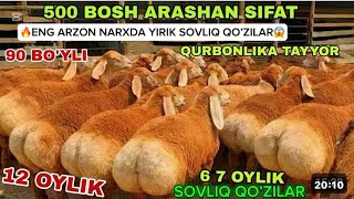 😱DAXSHAT🔥80 smlik ARASHAN SOVLIQ QO’CHQOR QO’ZILAR KELDI SHOSHILING SONI CHEKLANGAN😱