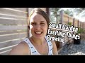 A Walk Through my Small Garden | June Garden Tour 2022