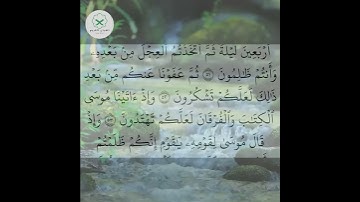 سورة البقرة  الشيخ محمد الفقيه  #quotes #تيك_توك  #اكسبلور #forupage #دويتو #دويتو #quran