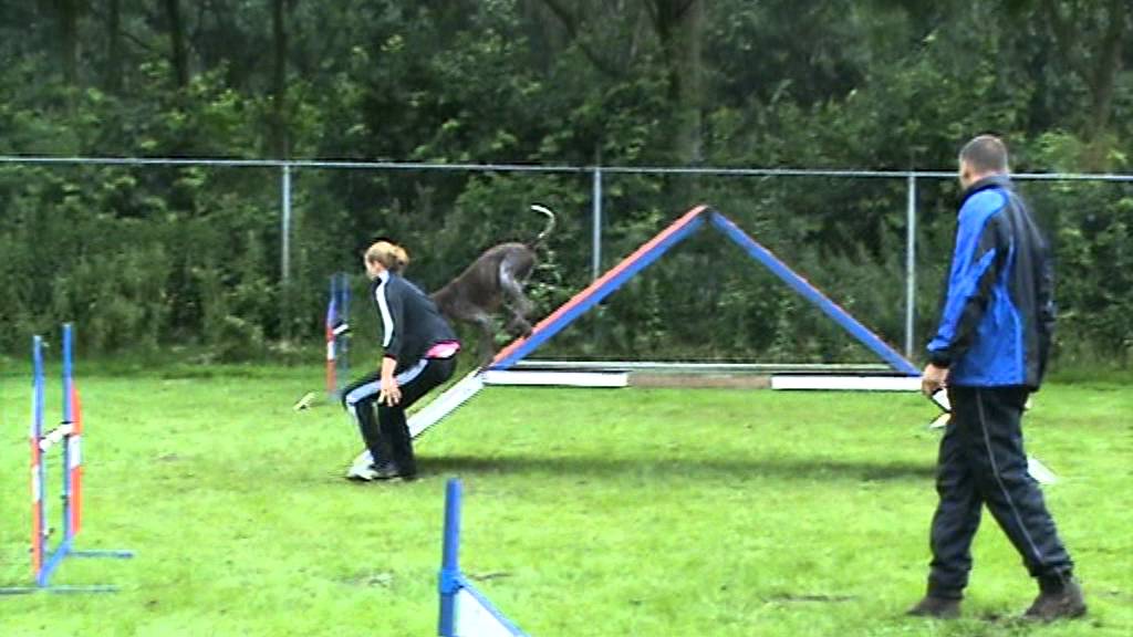 benefietwedstrijd N O P 003