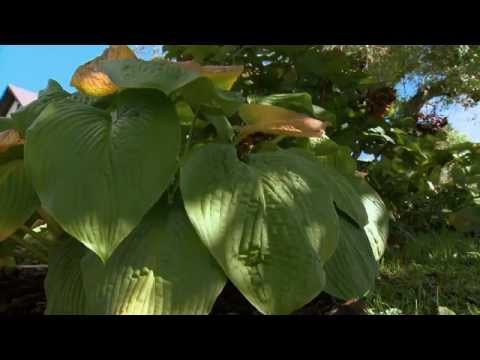 ein-gartentraum,-19.-oktober-2014