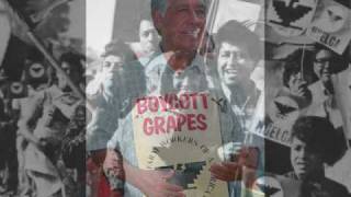 Cesar Chavez Short Bio