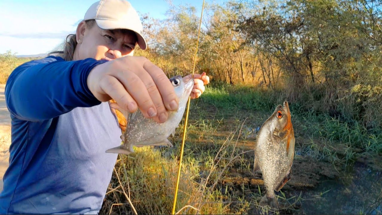 As DEVORADORAS DO CÓRREGO, ESTÃO ATACANDO, PESCARIA RAIS ACHAMOS um lugar infestado de peixe